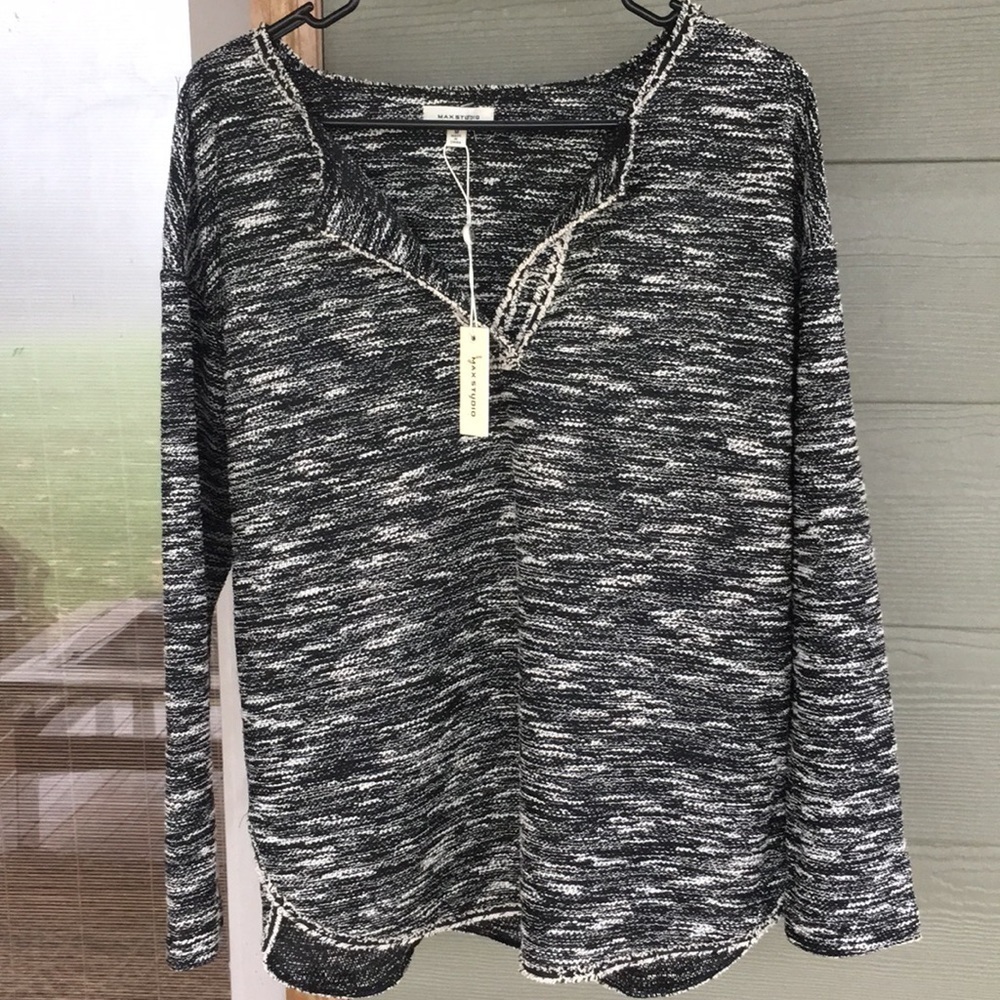 Max Studio Long Sleeve Top